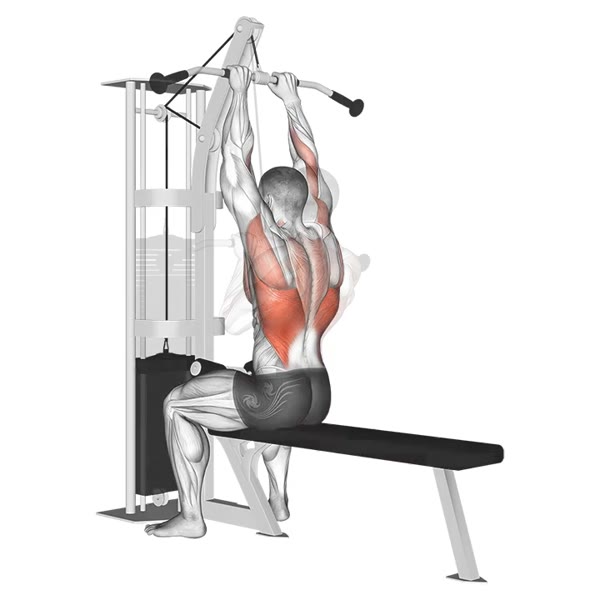 Closed Pronation Lat Pulldown on High Pulley — ejercicio de Espalda, nivel Intermedio