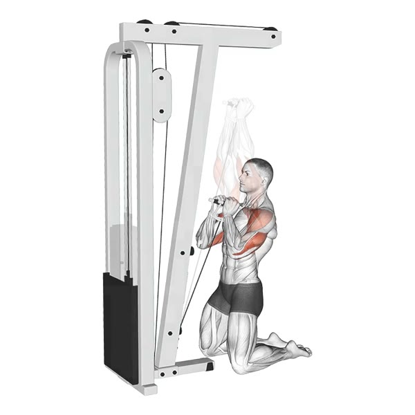 Closed Pulley Military Press — ejercicio de Hombros, nivel Intermedio