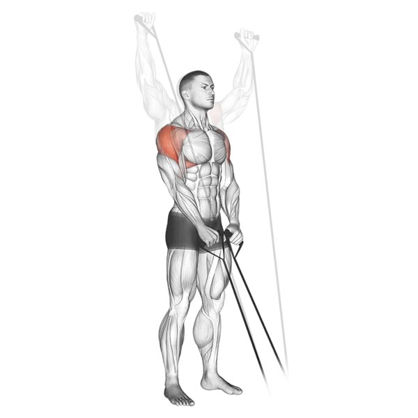 Complete Lifts with Belts — ejercicio de General, nivel Intermedio