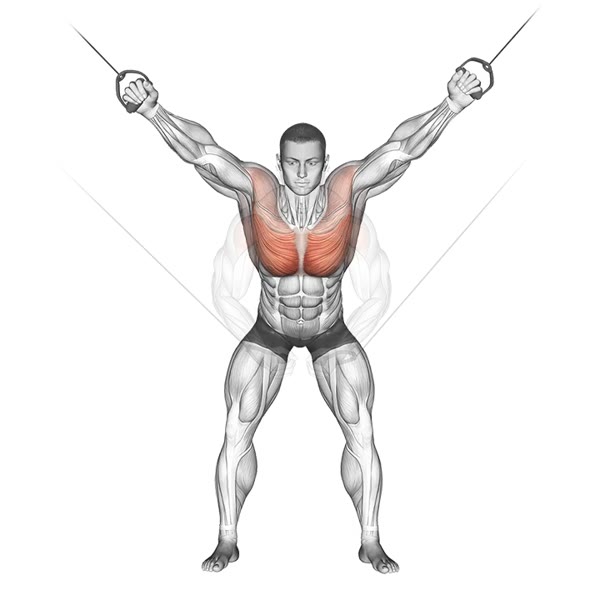 Complete pulley crossover — ejercicio de General, nivel Intermedio
