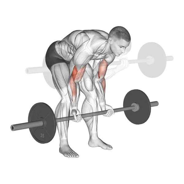 Concentrated Barbell Curl — ejercicio de Bíceps, nivel Intermedio