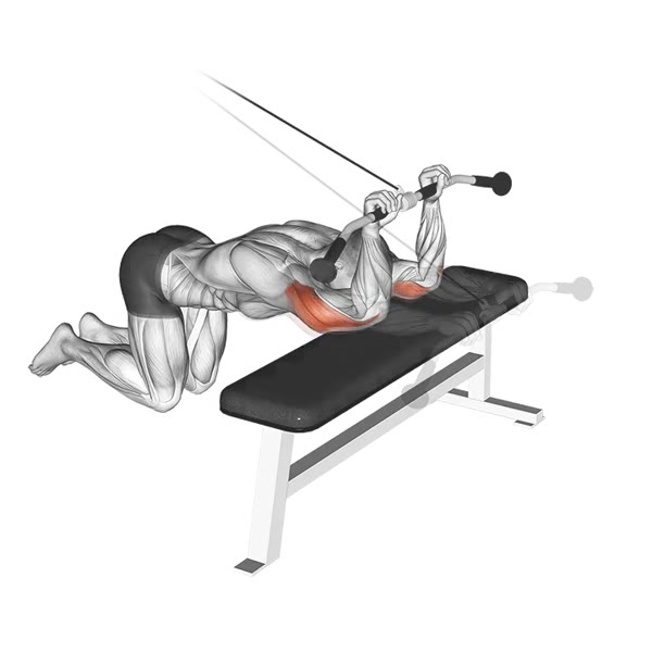 Concentrated Extensions on High Pulley — ejercicio de General, nivel Intermedio