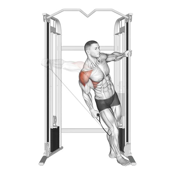 Concentrated Lateral Pulley Raise — ejercicio de Hombros, nivel Intermedio