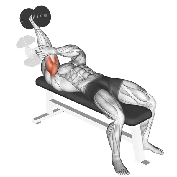 Concentrated Overhead Dumbbell Extension — ejercicio de Hombros, nivel Intermedio
