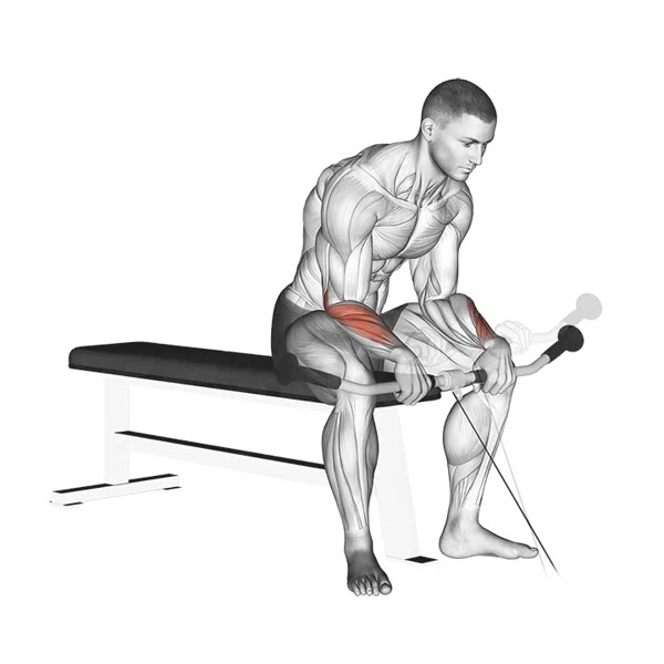Concentration Curl in Pronation with Pulley — ejercicio de Bíceps, nivel Intermedio
