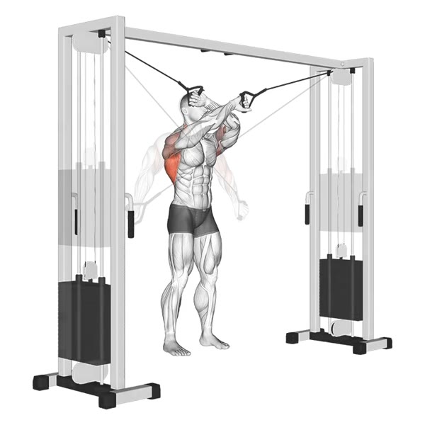 Cross Extensions on High Pulley — ejercicio de General, nivel Intermedio