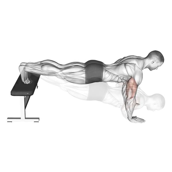 Decline Push-ups — ejercicio de Pecho, nivel Avanzado