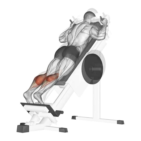 Declined Calf Extension Machine — ejercicio de Pierna, nivel Intermedio