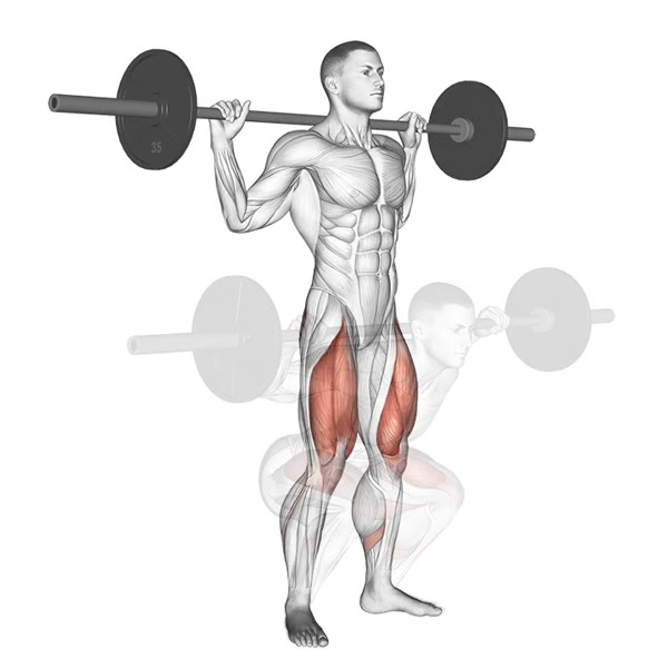 Deep Barbell Squat — ejercicio de Pierna, nivel Intermedio