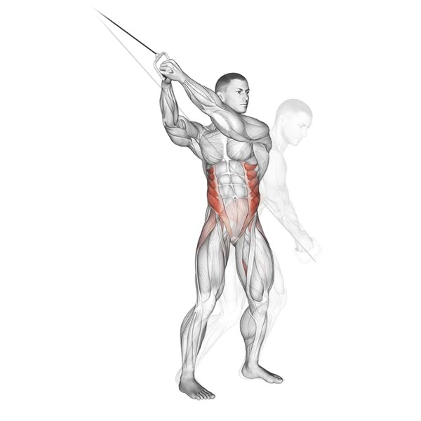 Diagonal pulley tilt — ejercicio de General, nivel Intermedio