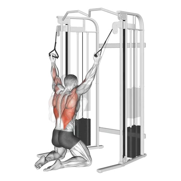 Double Neutral Open Pulldown on High Pulley — ejercicio de Espalda, nivel Intermedio