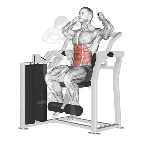 Double Vertical Crunch Machine — ejercicio de Abdomen, nivel Avanzado
