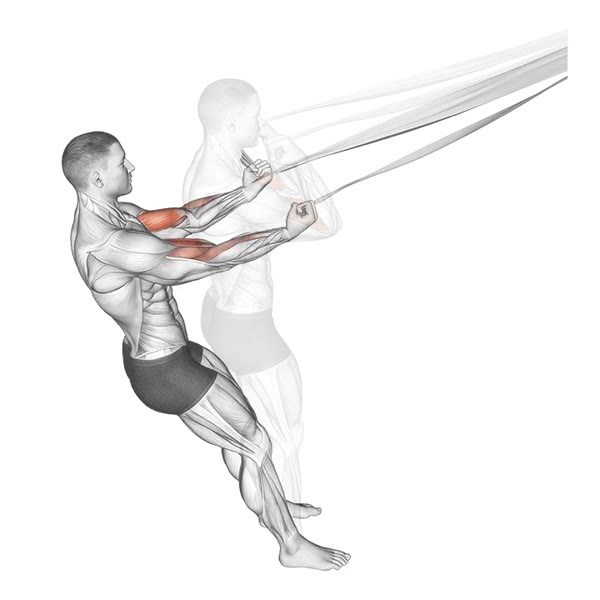 Drop curl with bands — ejercicio de Bíceps, nivel Intermedio