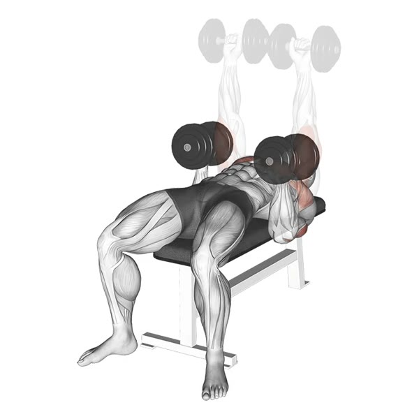 Dumbbell Bench Press with Twist — ejercicio de Tríceps, nivel Intermedio