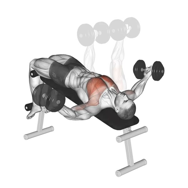 Dumbbell Decline Flyes with Twist — ejercicio de Pecho, nivel Intermedio