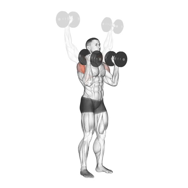 Dumbbell Military Press with Twist — ejercicio de Hombros, nivel Intermedio