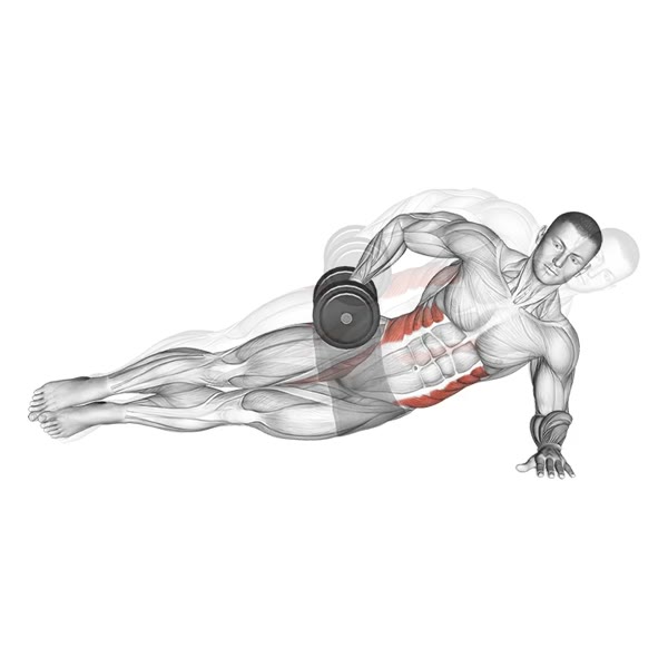 Dumbbell Side Bridge — ejercicio de Abdomen, nivel Intermedio