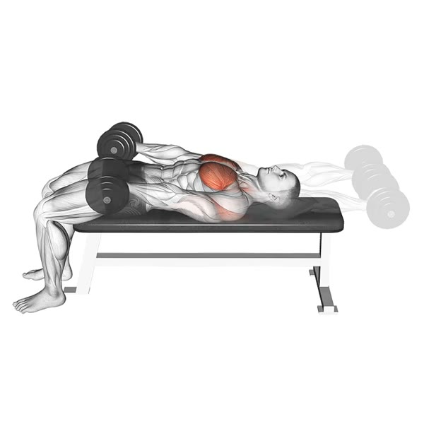 Extended Pullover with Dumbbells — ejercicio de Espalda, nivel Intermedio