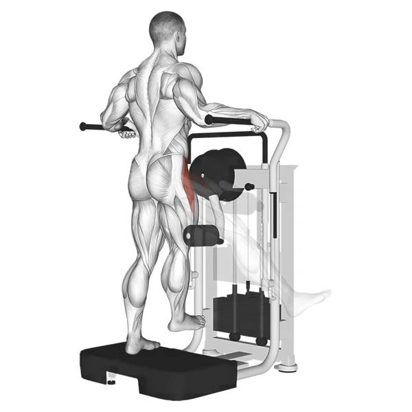 External Adductor Isolated in Machine — ejercicio de Glúteos, nivel Intermedio