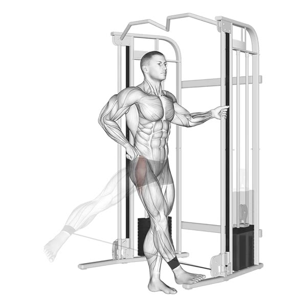 External Adductor on Pulley — ejercicio de Glúteos, nivel Intermedio