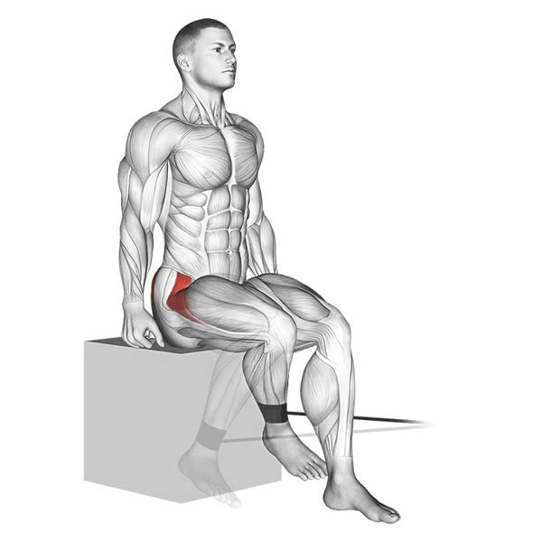 External Hip Rotation with Band — ejercicio de Pierna, nivel Intermedio