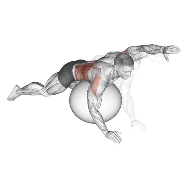 Fitball stroke — ejercicio de Cardio, nivel Intermedio