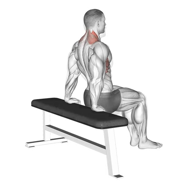 Free Shrinks on Bench — ejercicio de Pecho, nivel Intermedio