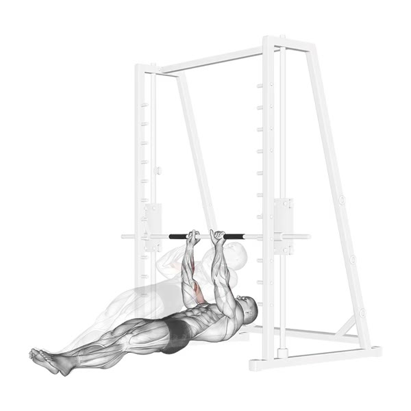 Free weight curl — ejercicio de Bíceps, nivel Intermedio