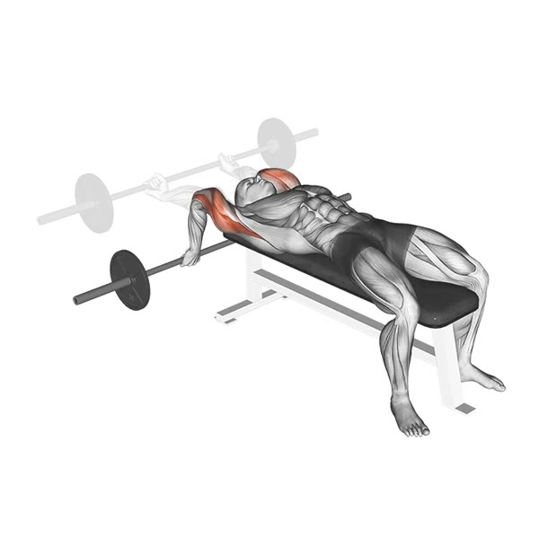 French Press behind the neck with Barbell — ejercicio de Tríceps, nivel Intermedio