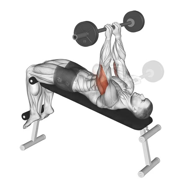 French Press Decline with Barbell — ejercicio de Tríceps, nivel Intermedio
