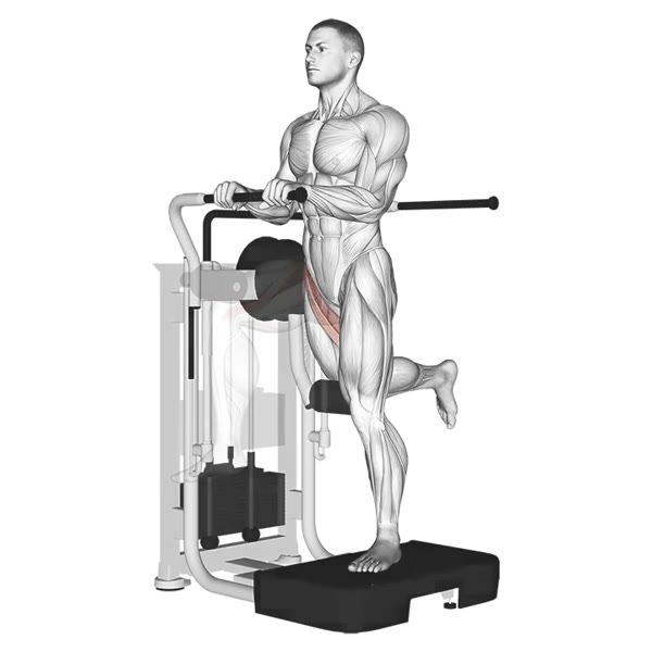 Front Extension on Machine — ejercicio de Pierna, nivel Intermedio