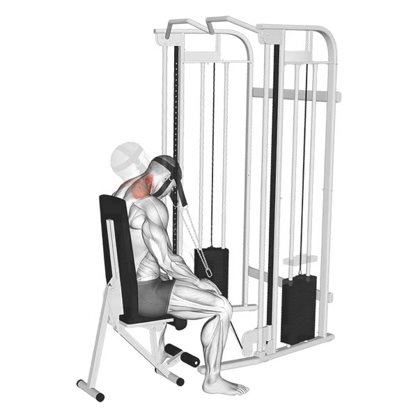 Front Extension on Pulley — ejercicio de Cuello, nivel Intermedio