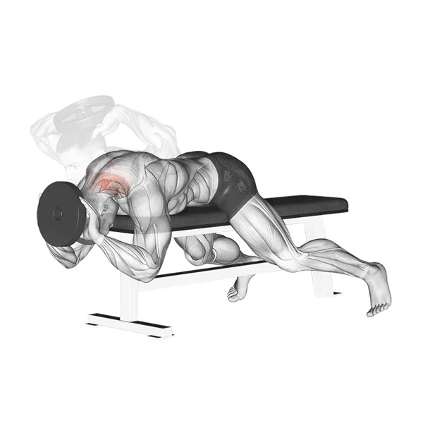 Front Extension with Disc — ejercicio de General, nivel Intermedio