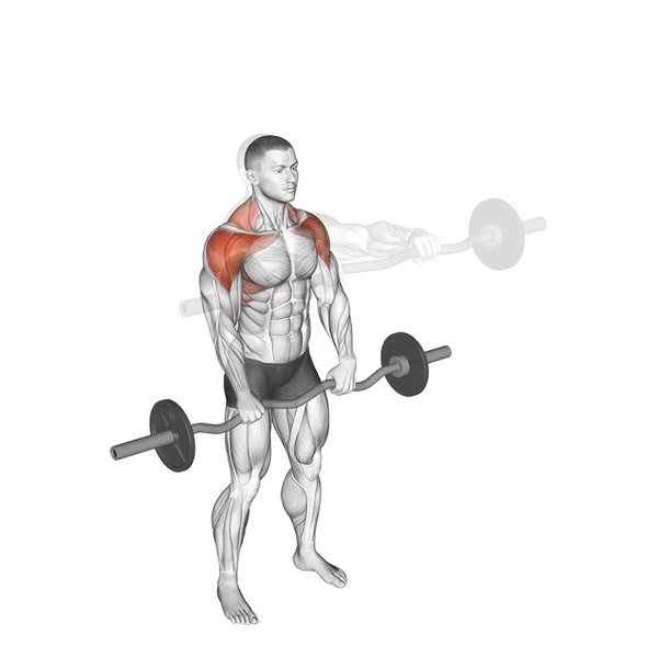 Front Lift with Z Bar Rotations — ejercicio de General, nivel Intermedio