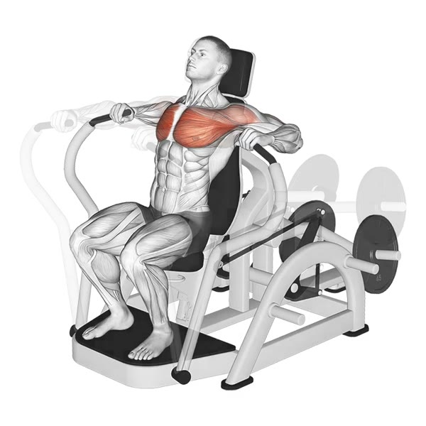 Front Press on Machine — ejercicio de Pecho, nivel Principiante