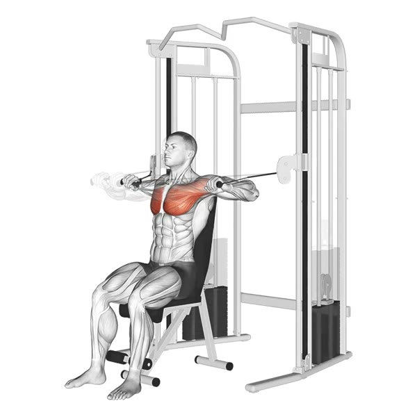 Front Press with Pulleys — ejercicio de General, nivel Intermedio