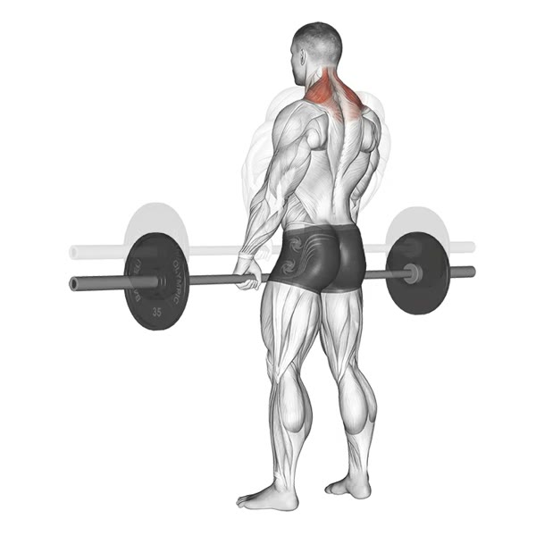 Front Shrugs with Bar — ejercicio de Hombros, nivel Intermedio