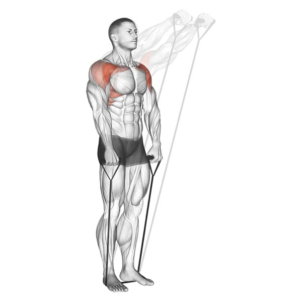 Frontal Lifts with Band — ejercicio de General, nivel Intermedio