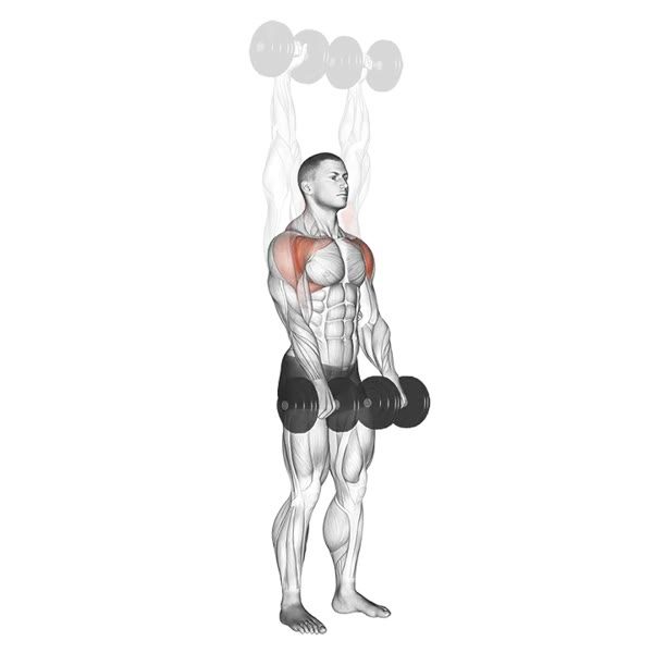Full Dumbbell Raises — ejercicio de General, nivel Intermedio