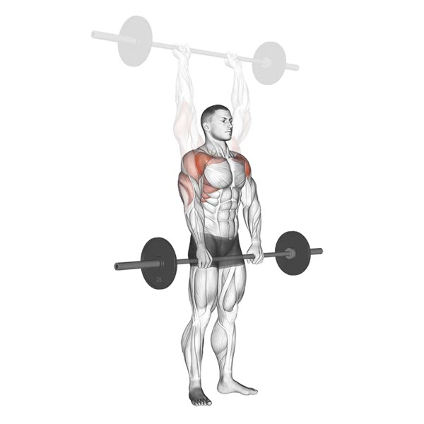 Full Lift with Bar — ejercicio de General, nivel Intermedio