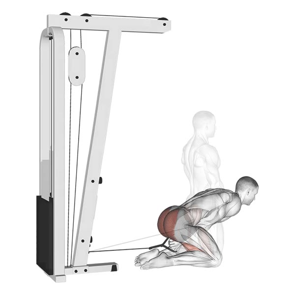 Glute Extension on Pulley — ejercicio de Pierna, nivel Intermedio