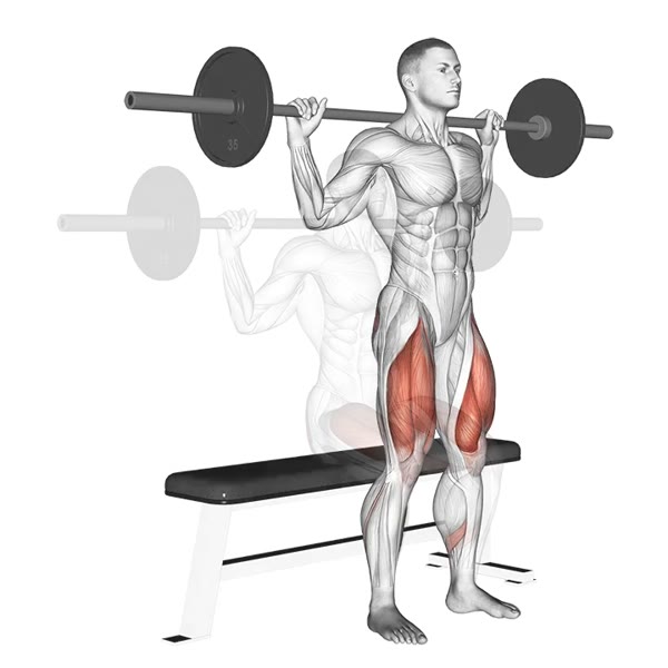 Half Squat with Barbell — ejercicio de Pierna, nivel Principiante