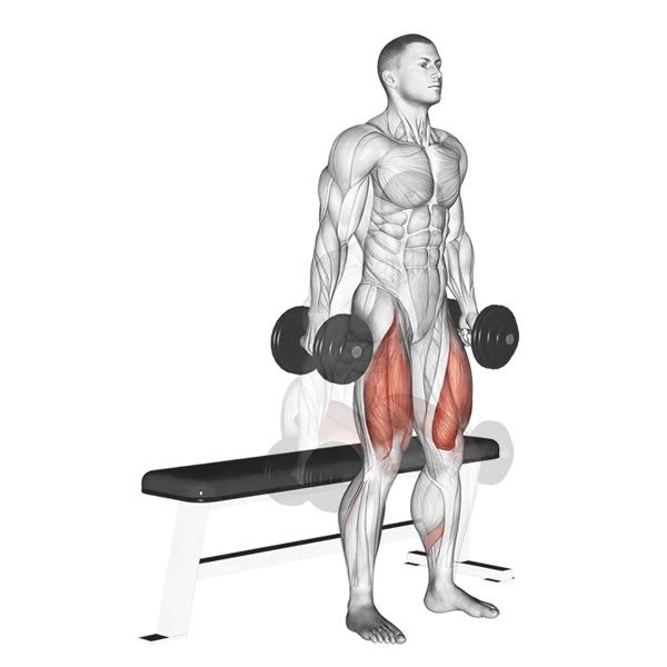 Half Squat with Dumbbells — ejercicio de Pierna, nivel Principiante