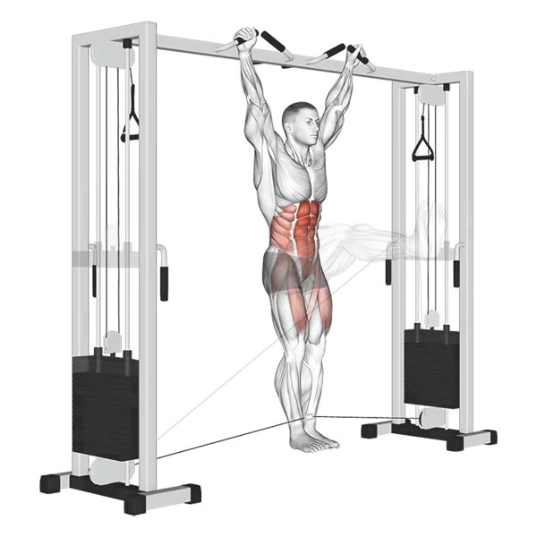 Hanging leg raise with pulley — ejercicio de Abdomen, nivel Avanzado