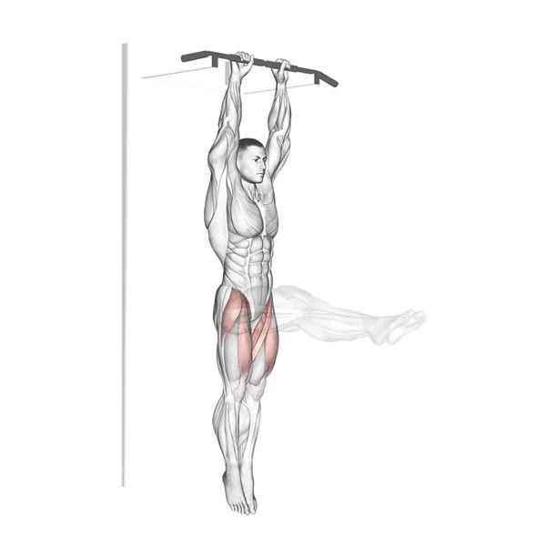 Hanging Leg Raise — ejercicio de Abdomen, nivel Intermedio