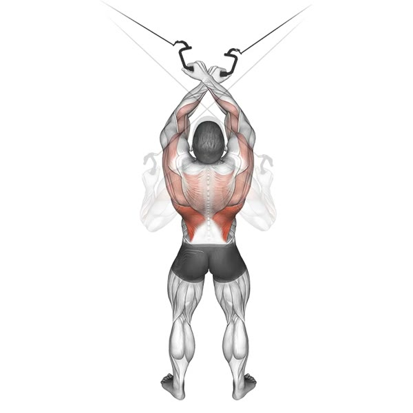 High Pulley Cross Row — ejercicio de Espalda, nivel Avanzado