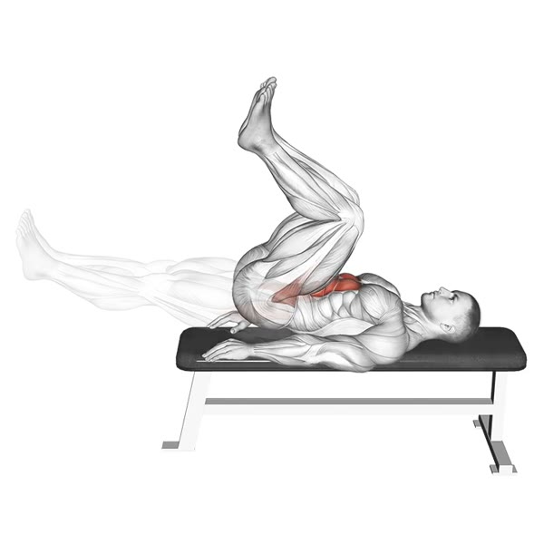 Hip Raise with Knee Flexion v1 — ejercicio de Glúteos, nivel Intermedio