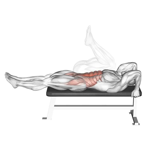 Hip Raise with Knee Flexion v2 — ejercicio de Glúteos, nivel Intermedio