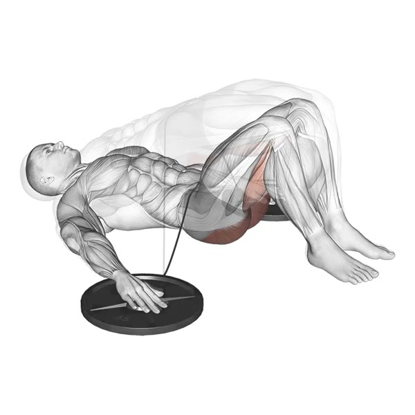 Hip Thrust with Band — ejercicio de Pierna, nivel Intermedio