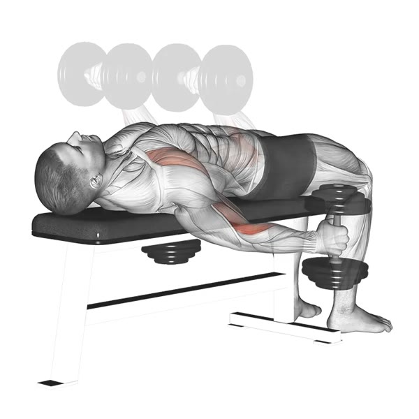 Horizontal curl with twist using dumbbells — ejercicio de Bíceps, nivel Intermedio